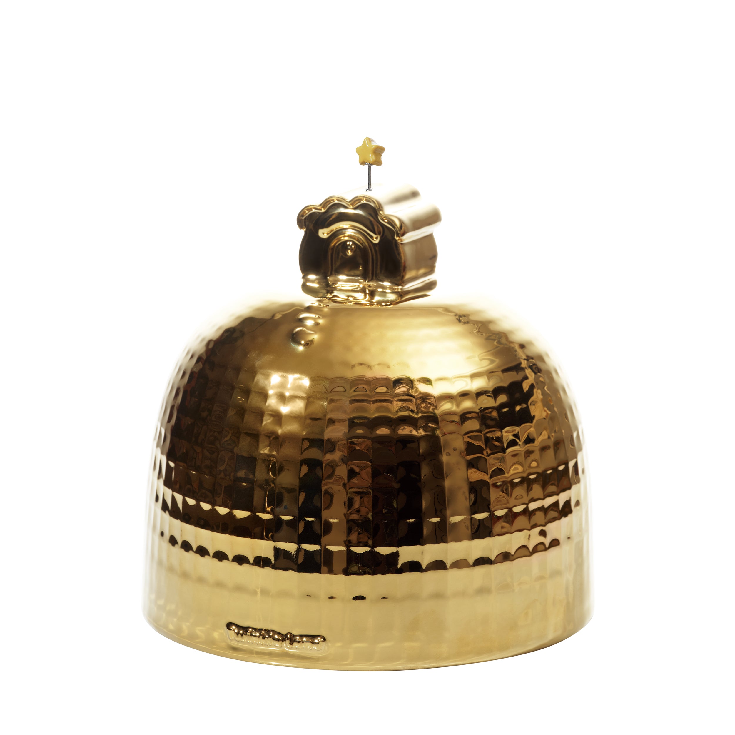 Near the Meteor Gold Pet Urn