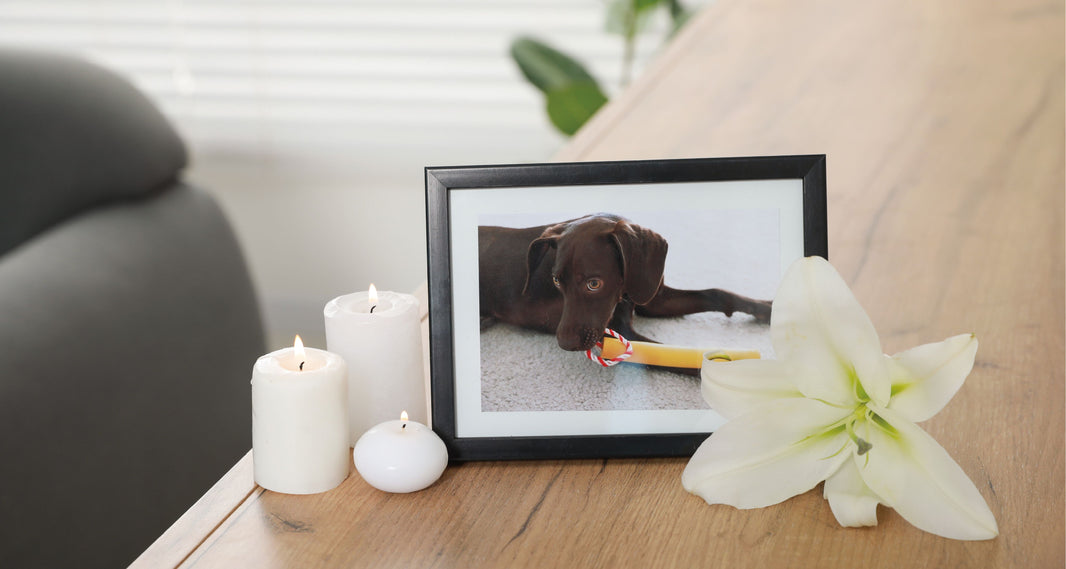 Eternal Companions: Choosing the Perfect Dog Urn for Your Beloved Pet