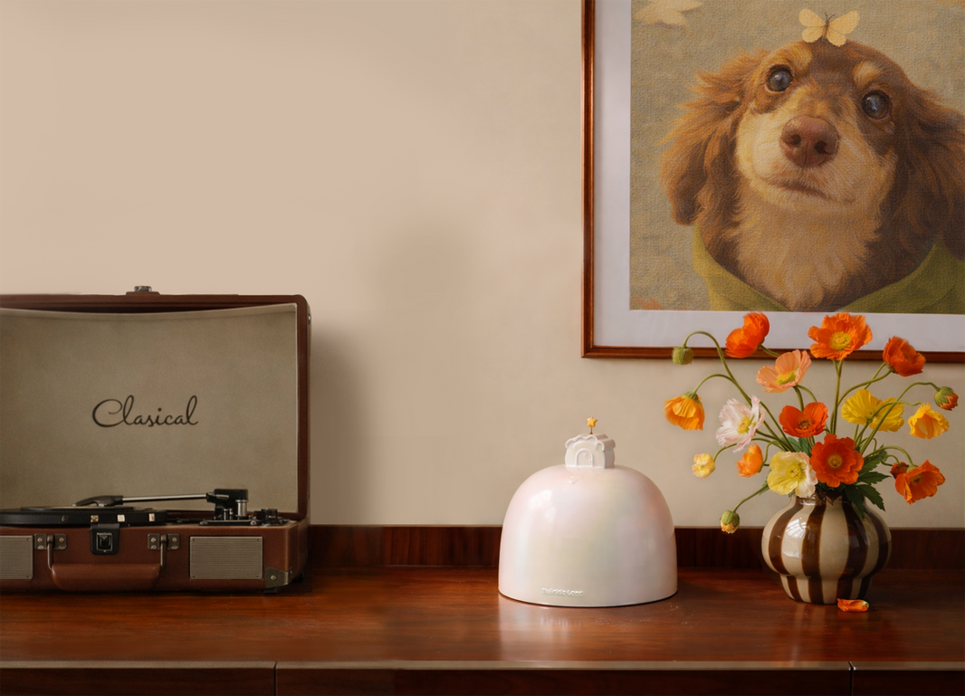 How to Choose a Pet Urn That Fits - and Feels Like Them