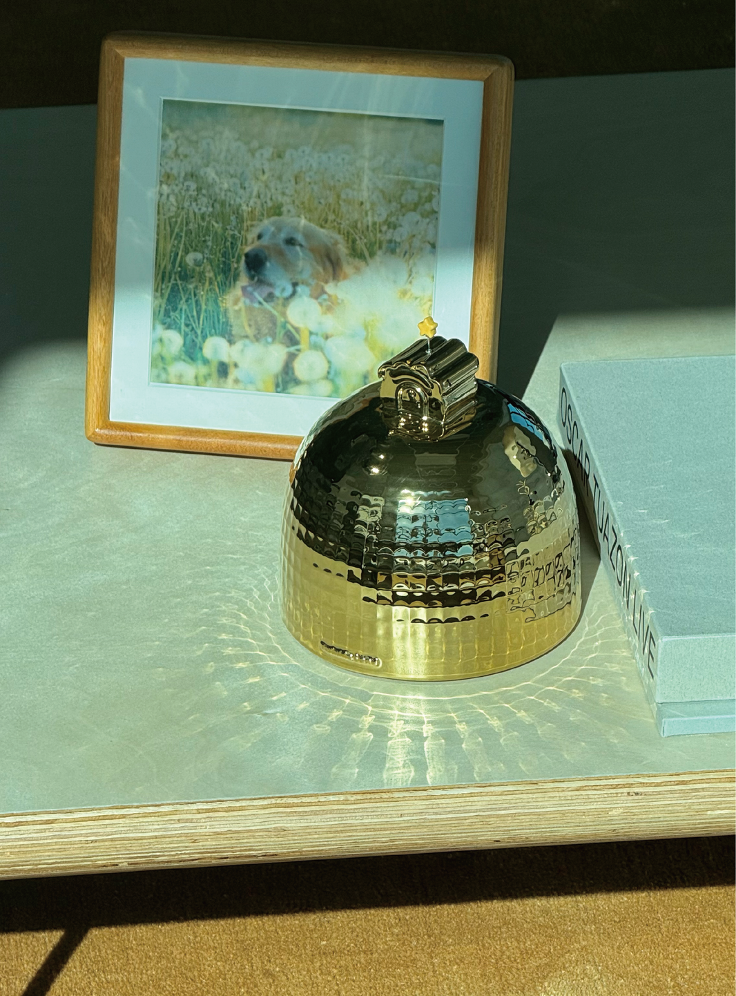 What Actually Makes Pet Urns Unique