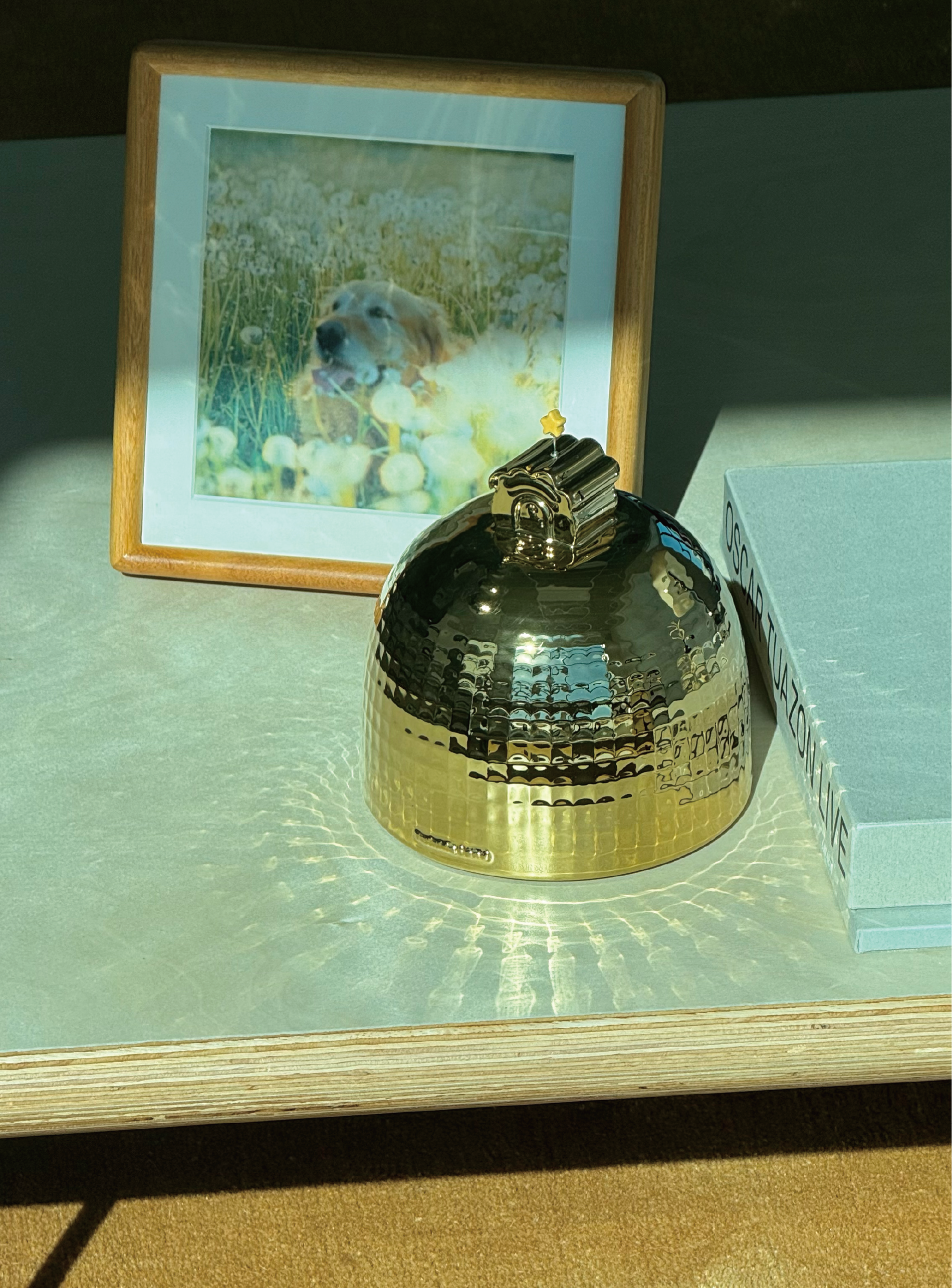 What Actually Makes Pet Urns Unique