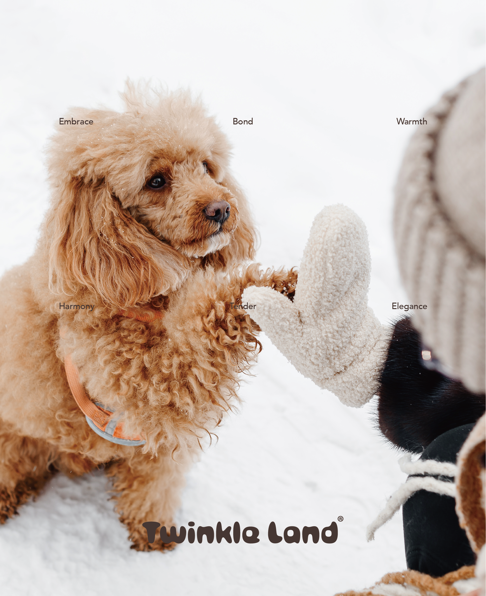 Dog Passing Quotes