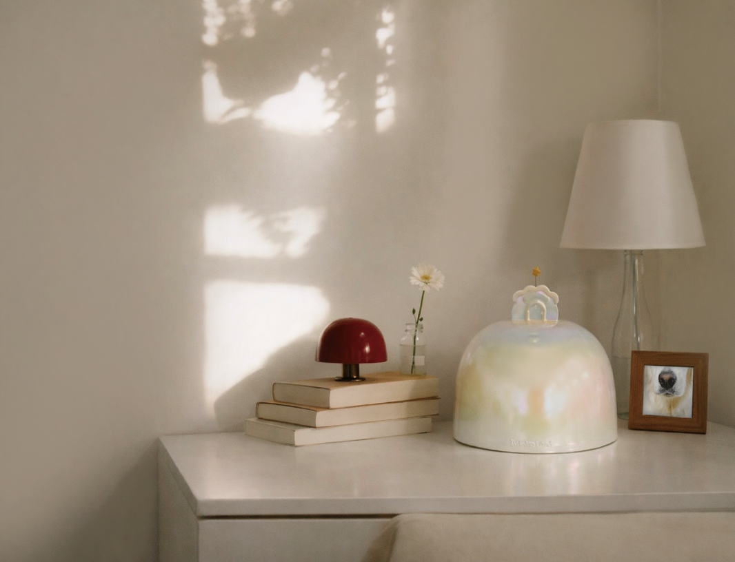 How to Display Pet Urns in Your Home