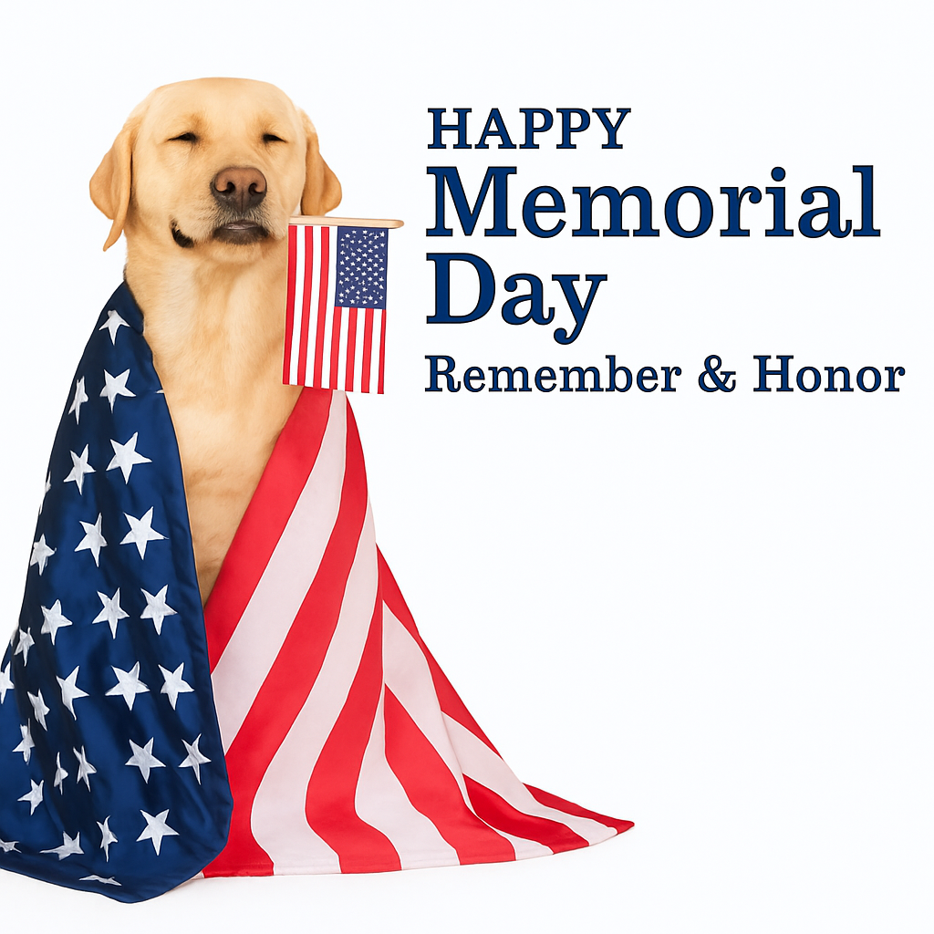 National Pet Memorial Day: Honoring Our Beloved Companions Who've Crossed the Rainbow Bridge
