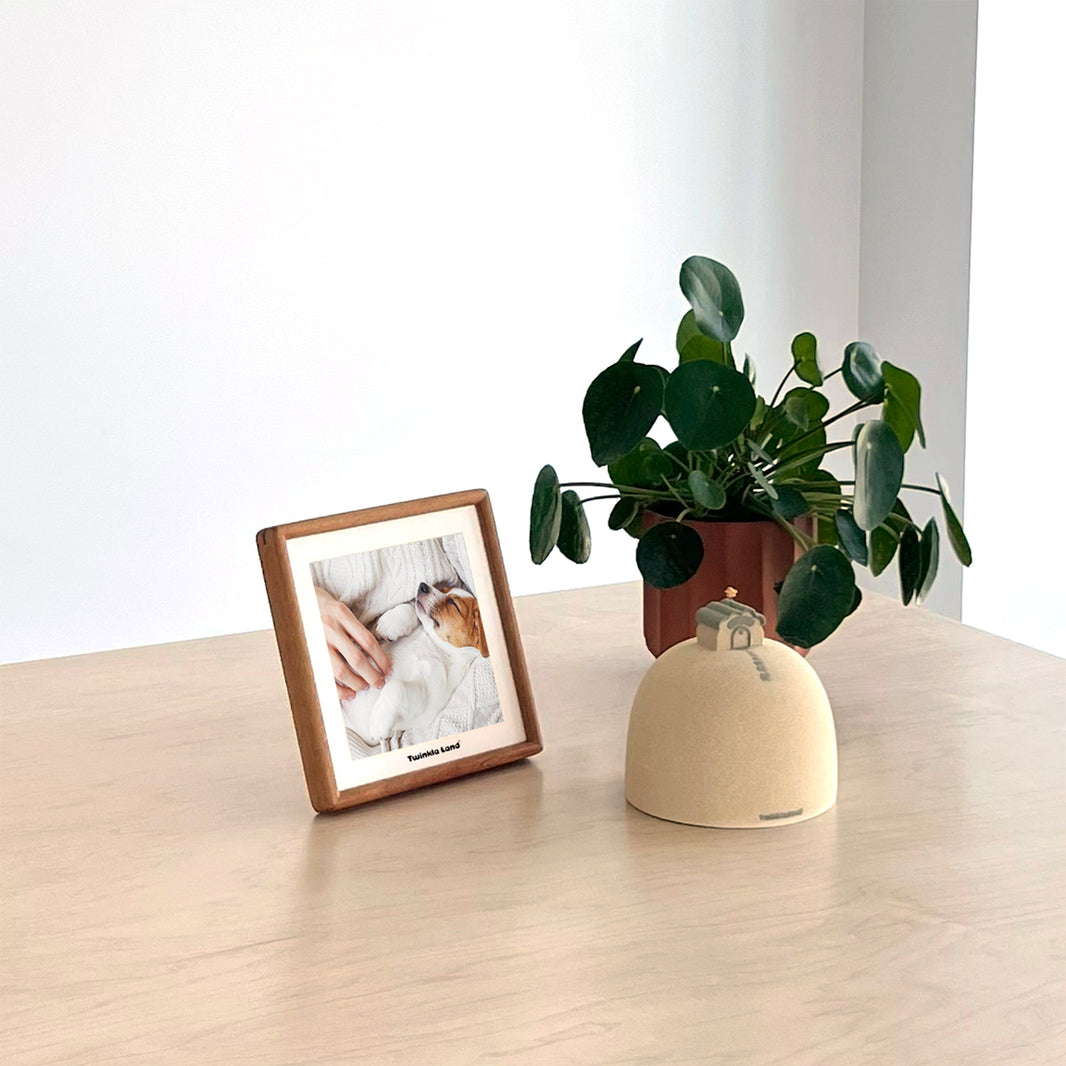 How Does Pet Cremation Work