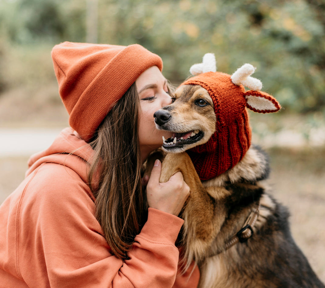 Truth about pet cremation