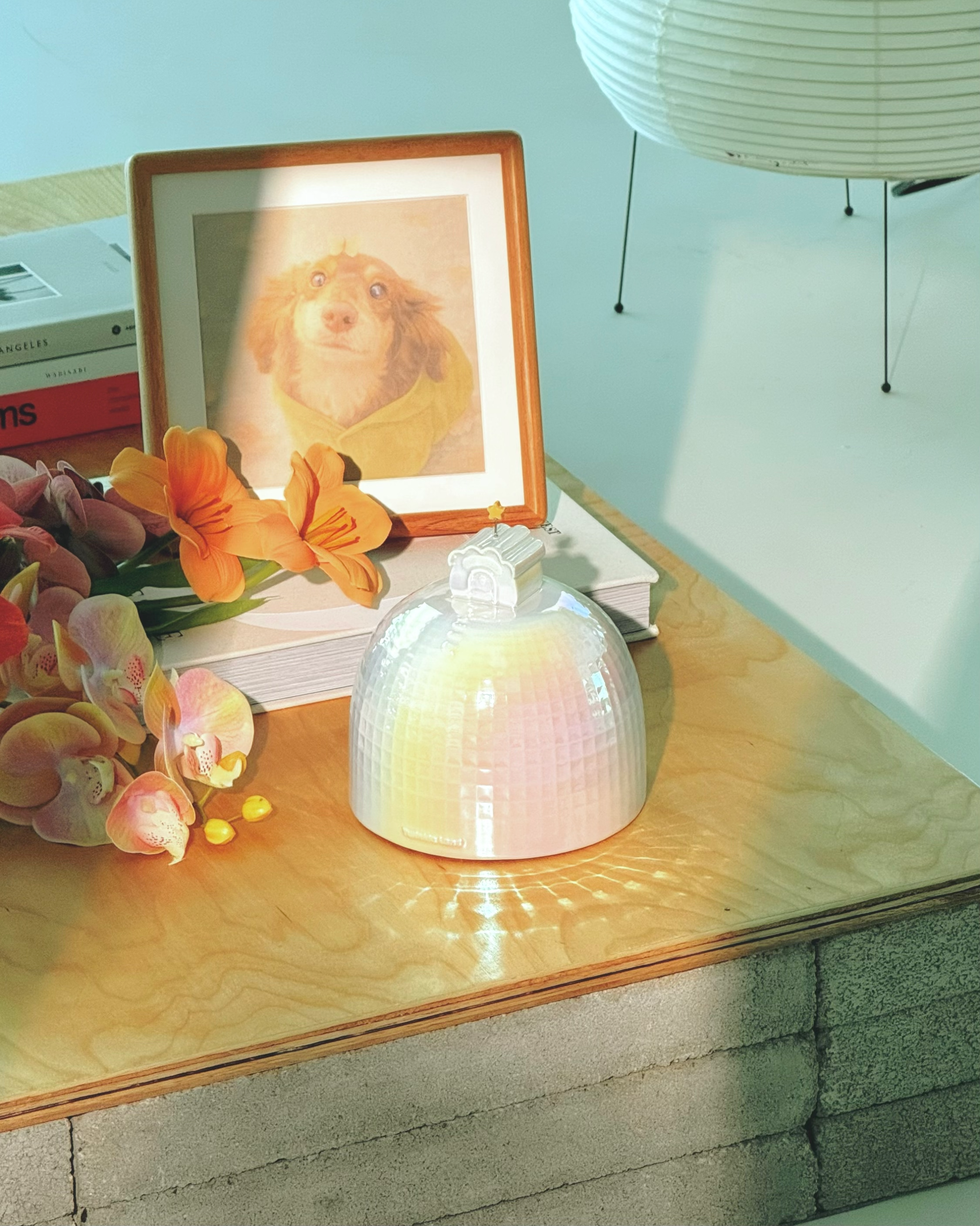 Near the Meteor Pet Urn