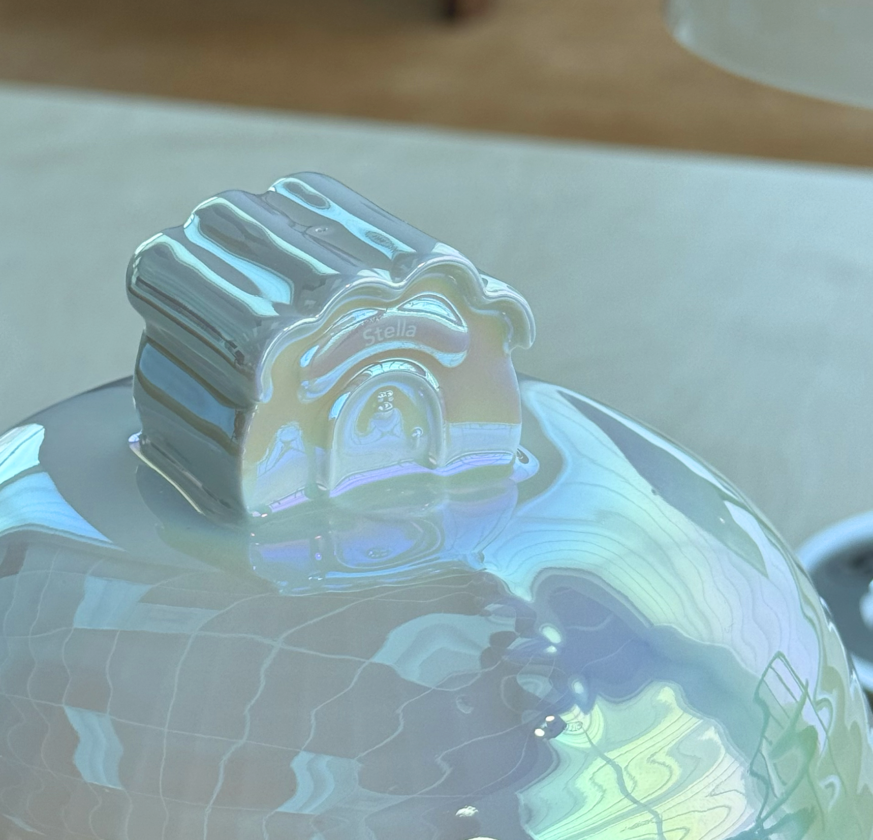 near the meteor pet urn with stella's name engraved