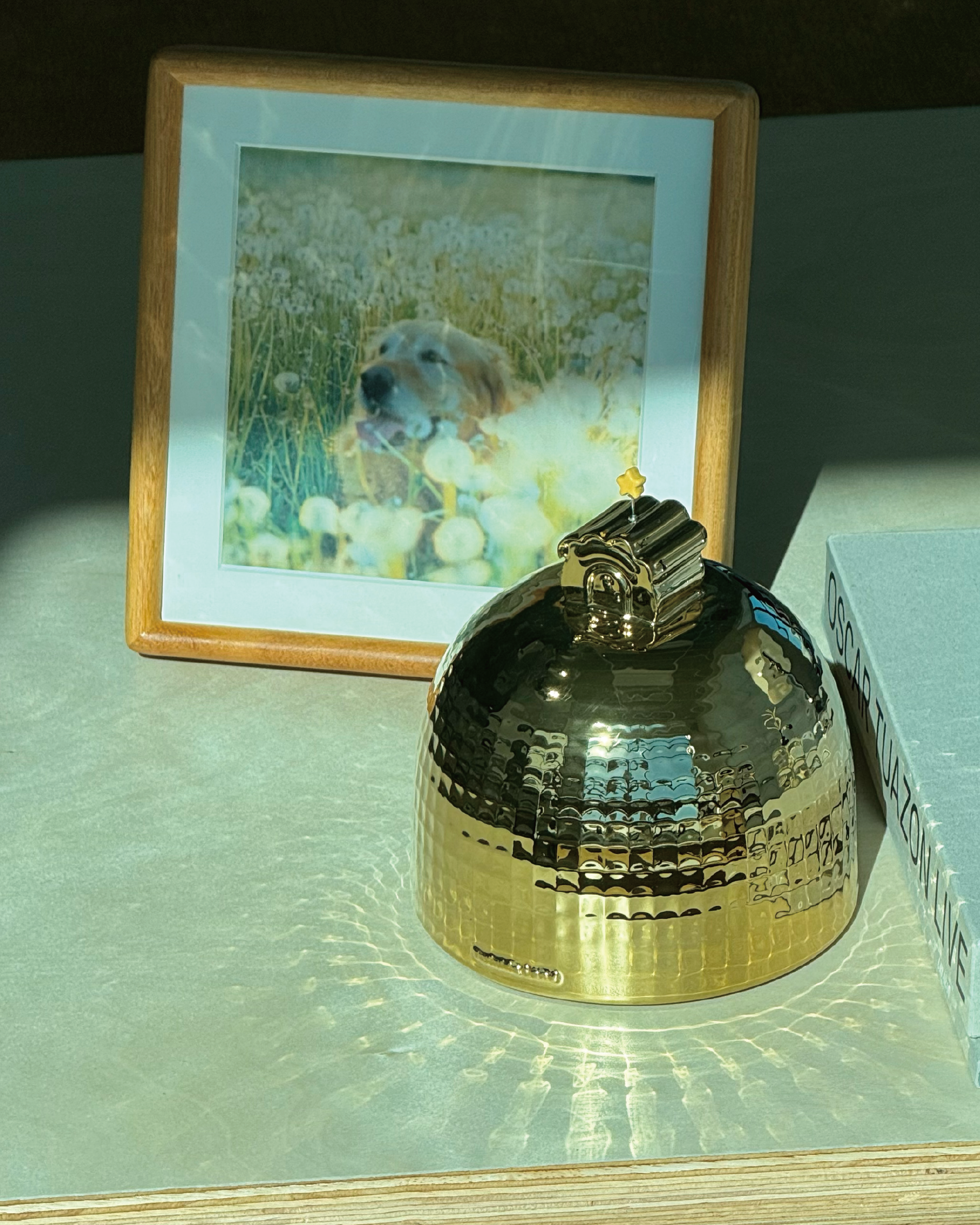 Near the Meteor gold