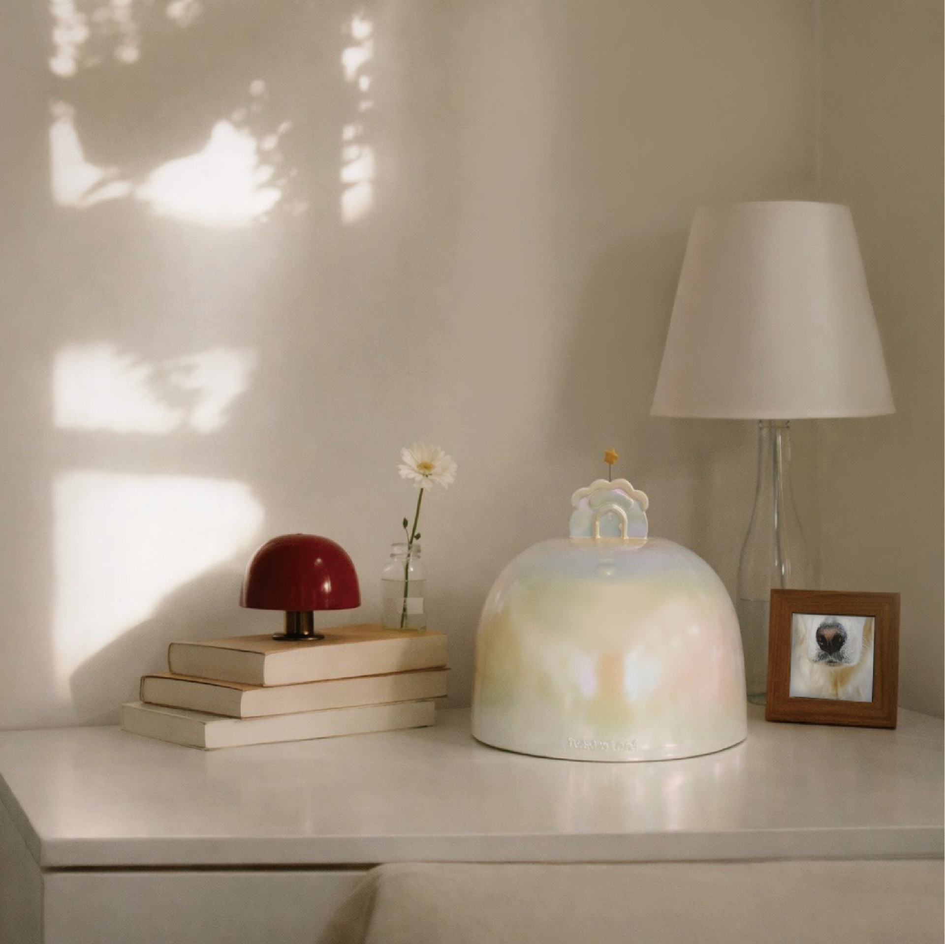 pet urn including a lamp, books, and a small plant on a surface with a neutral background.